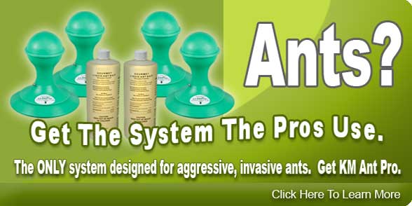 km ant pro ant killer bait system