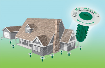 Termite Bait
