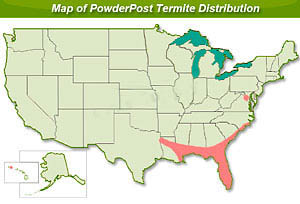 powderpost termite distribution map