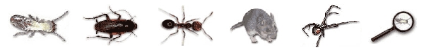 Get rid of termites, ants, roaches, spiders, rats, mice, pests