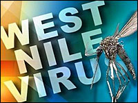 West Nile Virus Picture