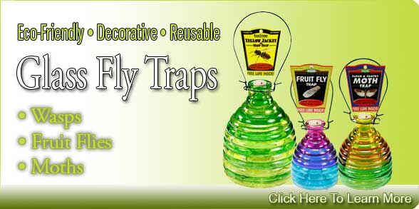 Termite control dallas, kill termites, stop termites dallas