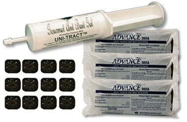 general ant control kit