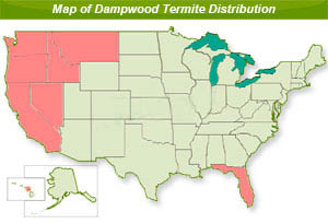 us map of dampwood termite 