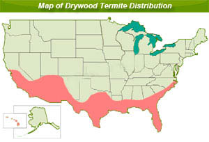 drywood termite distribution map