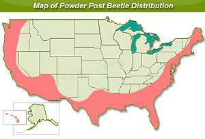 us map of powder post beetles 