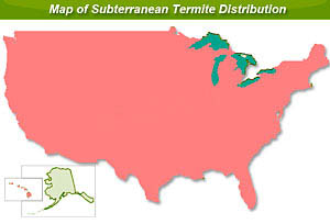 us map of subterranean termite 